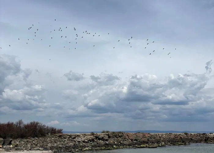 Desis Seaside Hideaway Apartment Pomorie